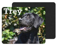 Black Lab Personalized Mouse Pad