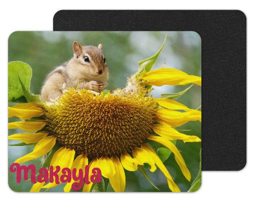 Chipmunk Eating Sunflower Seeds Custom Personalized Mouse Pad