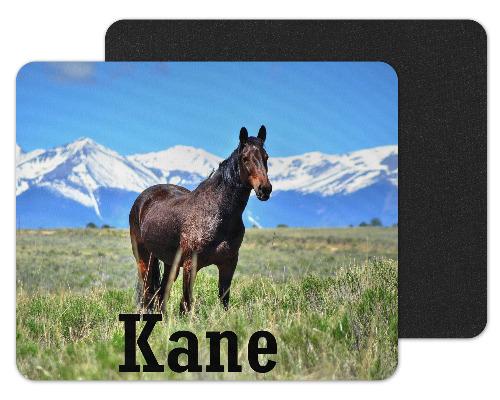 Horse and Mountains Custom Personalized Mouse Pad - Sew Lucky Embroidery