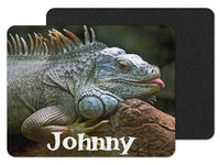 Lizard Custom Personalized Mouse Pad - Sew Lucky Embroidery