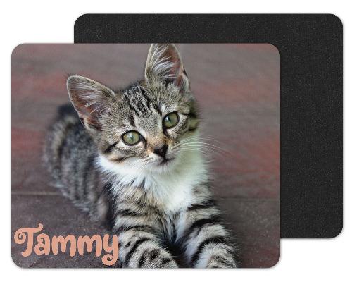 Tabby Cat Custom Personalized Mouse Pad - Sew Lucky Embroidery